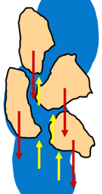 image : critical-hydraulic-gradient